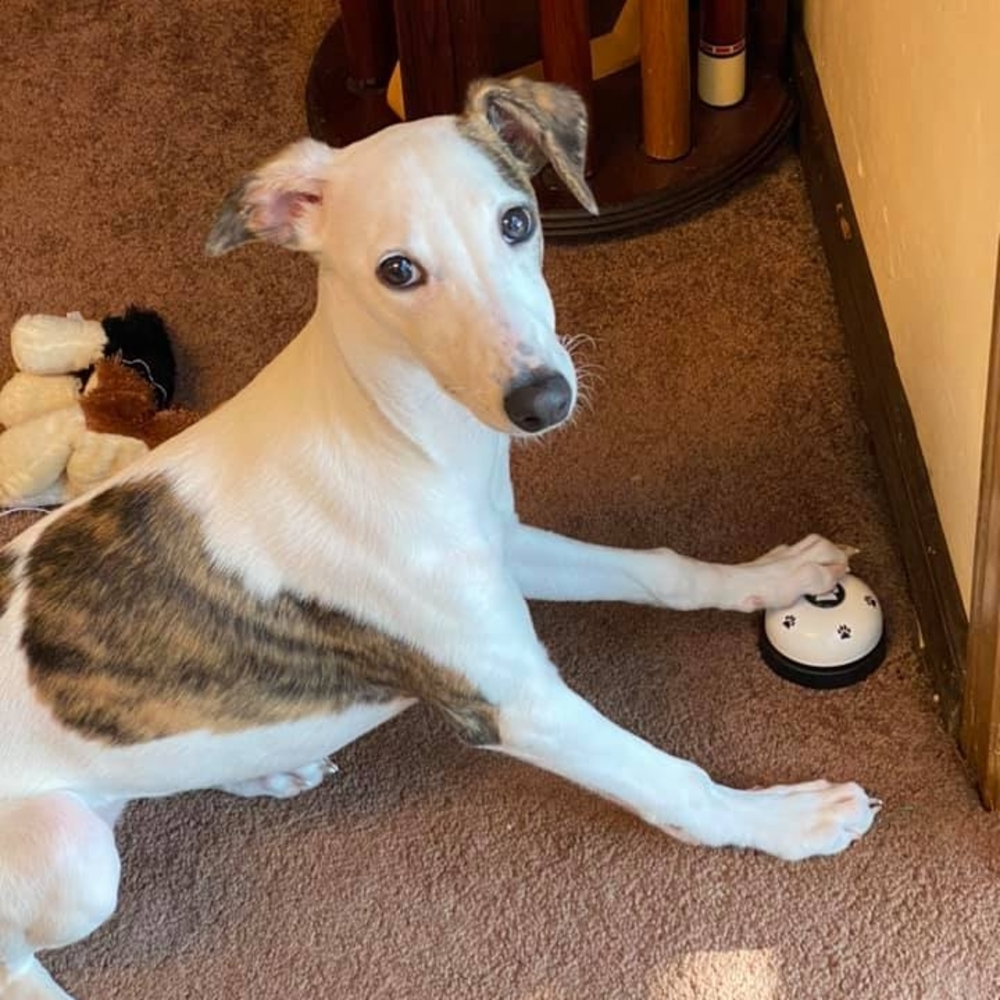 Meet your Posher, Lynna